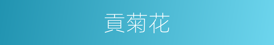 貢菊花的同義詞