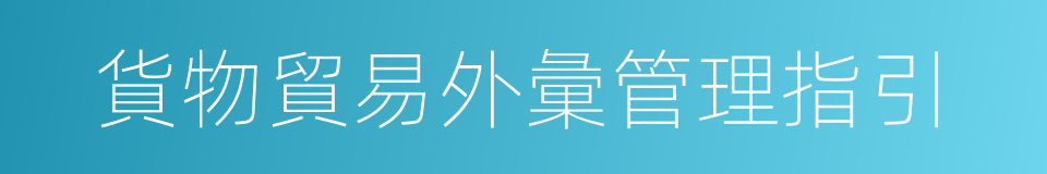 貨物貿易外彙管理指引的同義詞