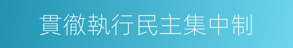 貫徹執行民主集中制的同義詞