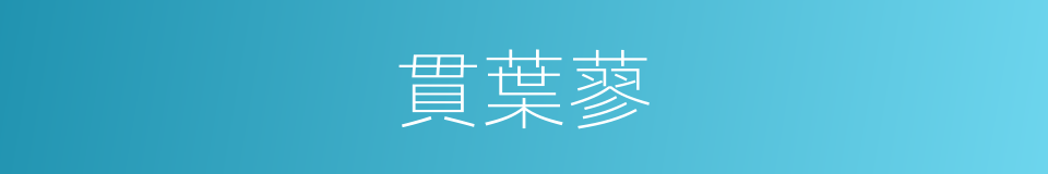 貫葉蓼的同義詞