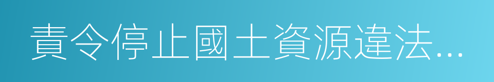 責令停止國土資源違法行為通知書的同義詞