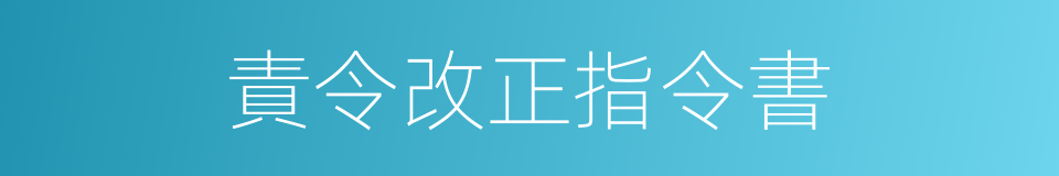 責令改正指令書的同義詞