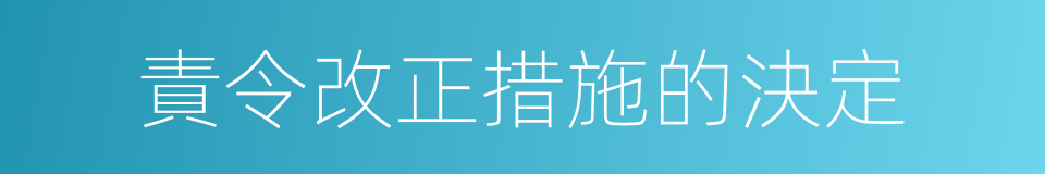 責令改正措施的決定的同義詞