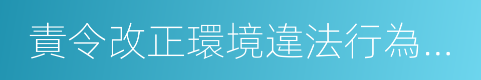 責令改正環境違法行為決定書的同義詞