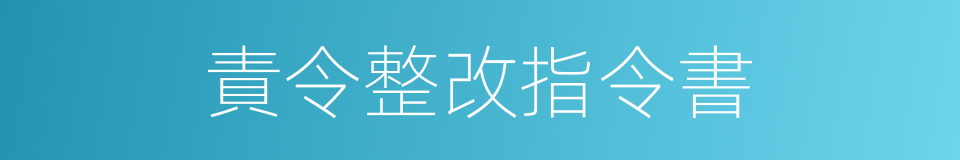 責令整改指令書的同義詞