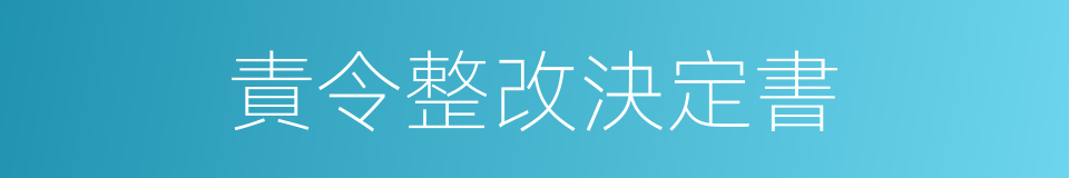 責令整改決定書的同義詞