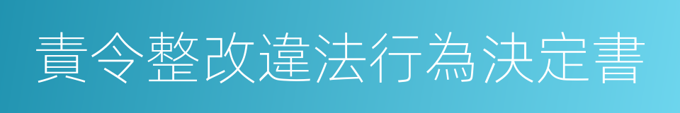 責令整改違法行為決定書的同義詞