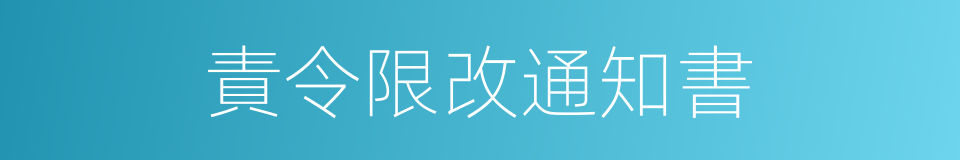 責令限改通知書的同義詞