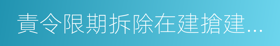 責令限期拆除在建搶建違法建設通知書的同義詞