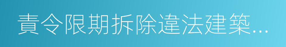 責令限期拆除違法建築決定書的同義詞