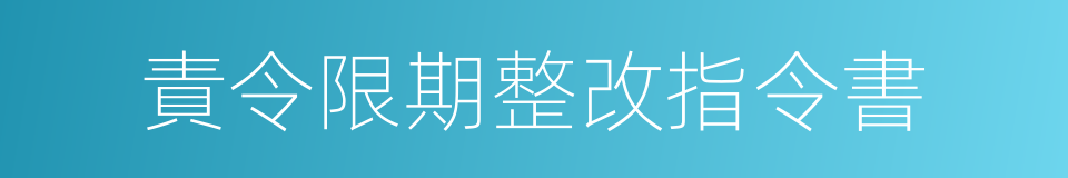 責令限期整改指令書的同義詞