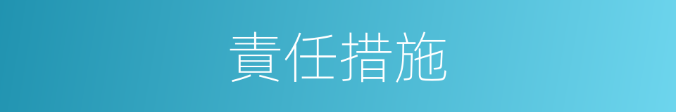 責任措施的同義詞