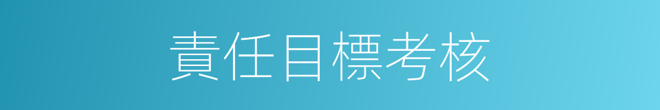 責任目標考核的同義詞