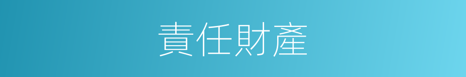 責任財產的同義詞