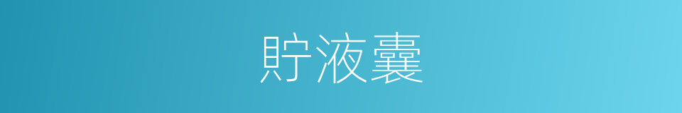 貯液囊的同義詞