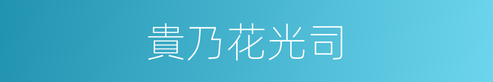 貴乃花光司的同義詞