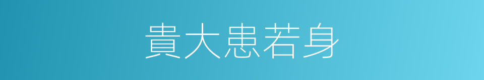 貴大患若身的同義詞