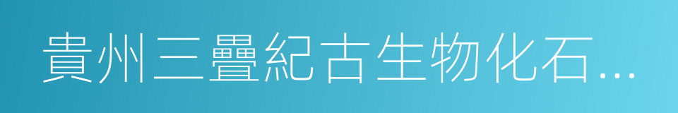 貴州三疊紀古生物化石探秘的同義詞