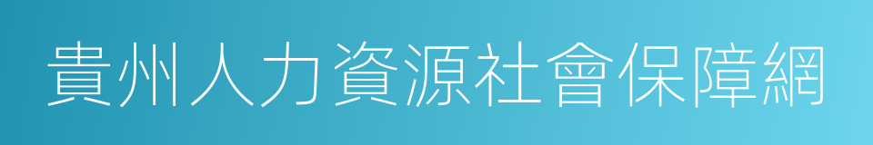 貴州人力資源社會保障網的同義詞