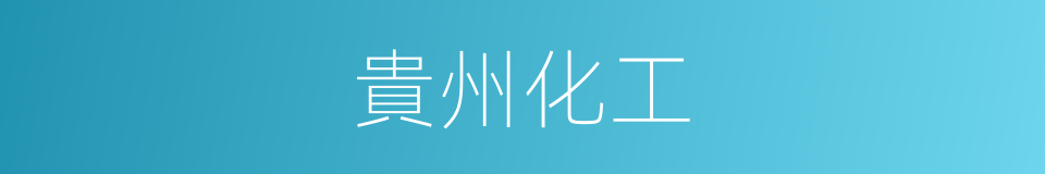 貴州化工的同義詞