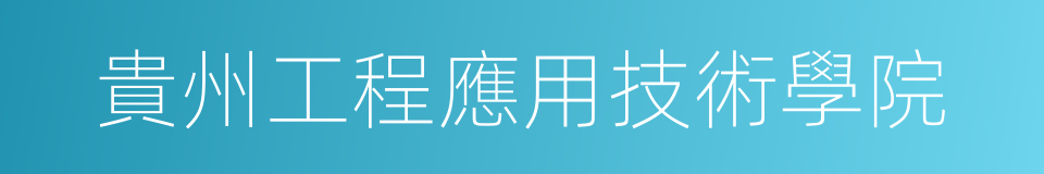 貴州工程應用技術學院的同義詞