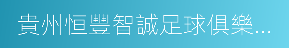 貴州恒豐智誠足球俱樂部有限公司的同義詞