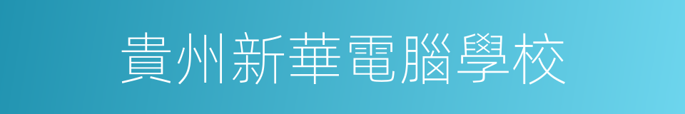 貴州新華電腦學校的同義詞