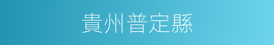 貴州普定縣的同義詞