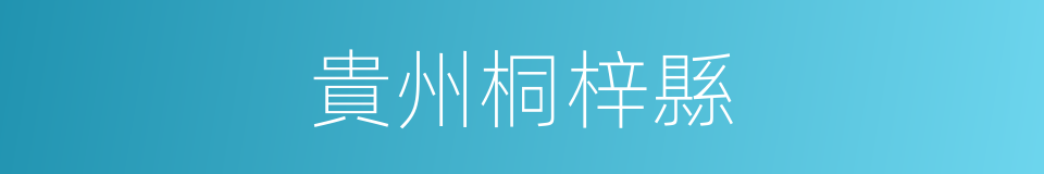 貴州桐梓縣的同義詞