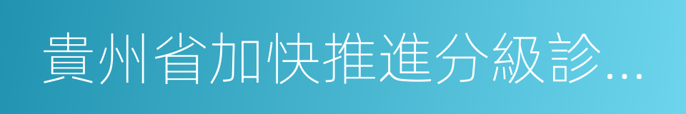 貴州省加快推進分級診療制度建設實施方案的同義詞