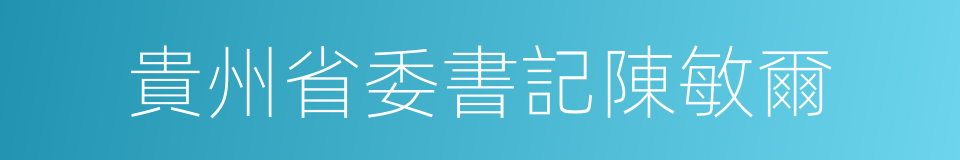 貴州省委書記陳敏爾的同義詞