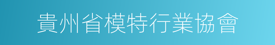 貴州省模特行業協會的同義詞