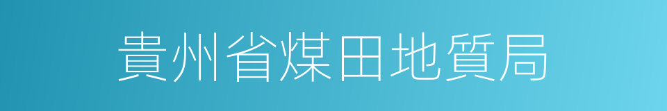 貴州省煤田地質局的同義詞