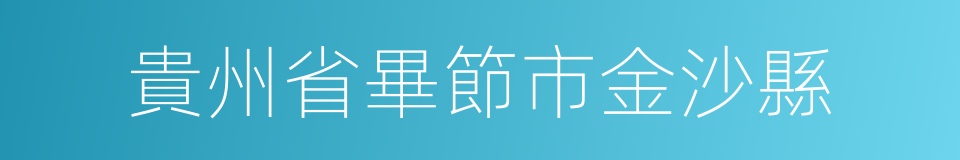 貴州省畢節市金沙縣的同義詞