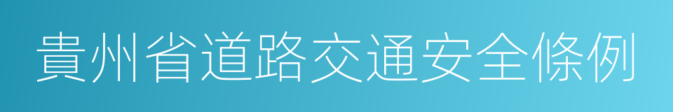 貴州省道路交通安全條例的同義詞