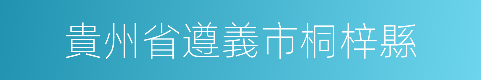 貴州省遵義市桐梓縣的同義詞