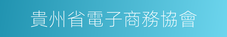 貴州省電子商務協會的同義詞