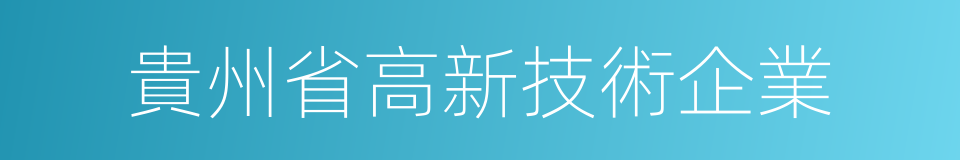 貴州省高新技術企業的同義詞