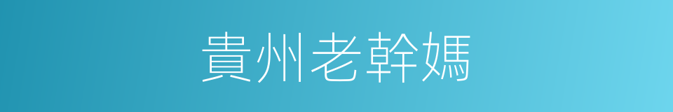 貴州老幹媽的同義詞