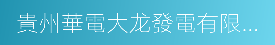 貴州華電大龙發電有限公司的同義詞