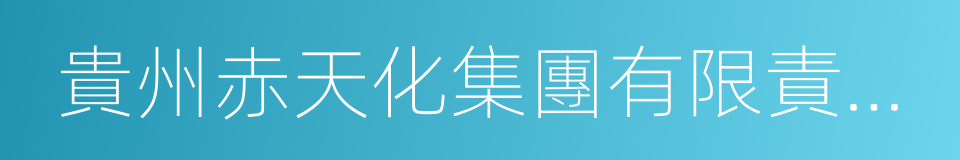 貴州赤天化集團有限責任公司的同義詞