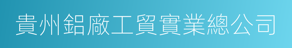 貴州鋁廠工貿實業總公司的同義詞