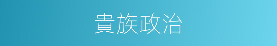 貴族政治的同義詞