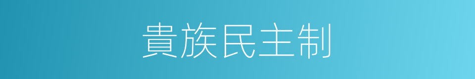 貴族民主制的同義詞