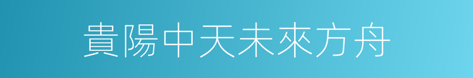 貴陽中天未來方舟的同義詞