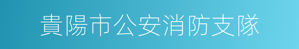 貴陽市公安消防支隊的同義詞