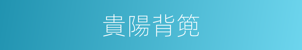 貴陽背篼的同義詞