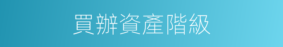 買辦資產階級的意思