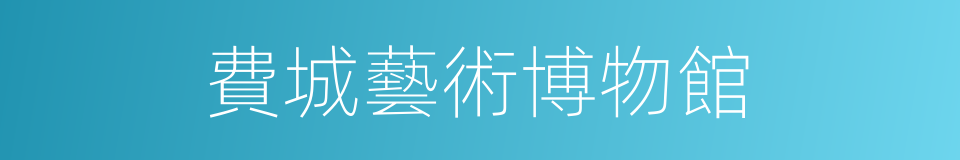 費城藝術博物館的同義詞