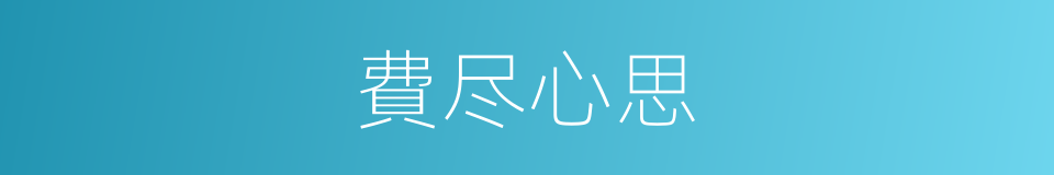 費尽心思的意思